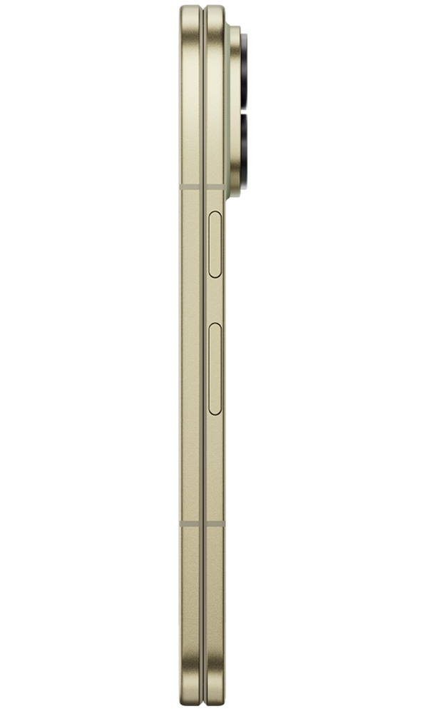 Olive side