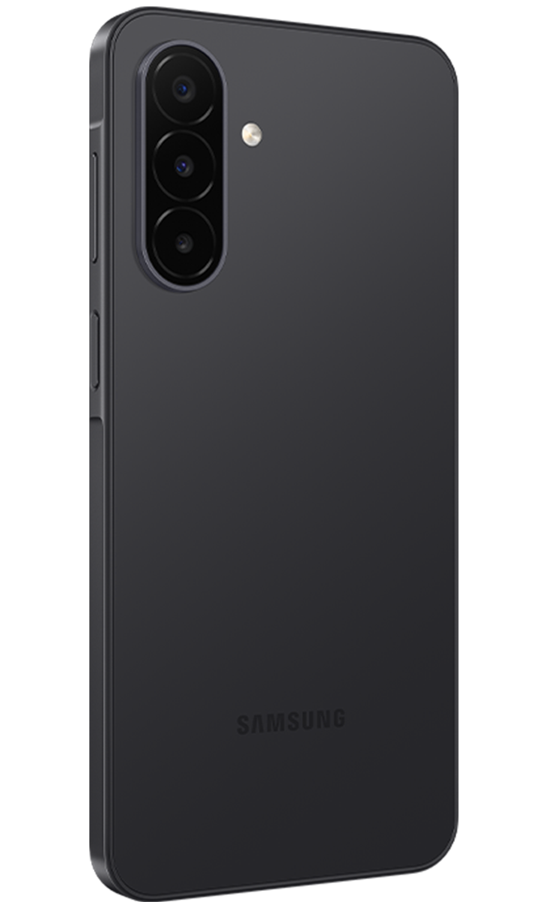 Black back