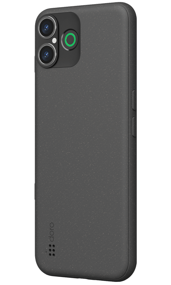 Graphite back