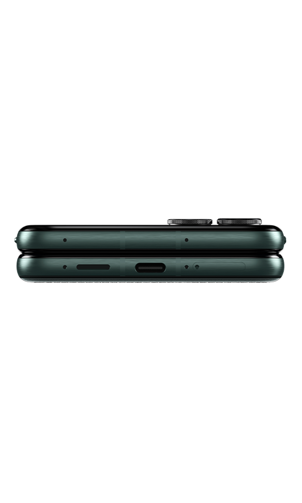 Pantone Scarab side