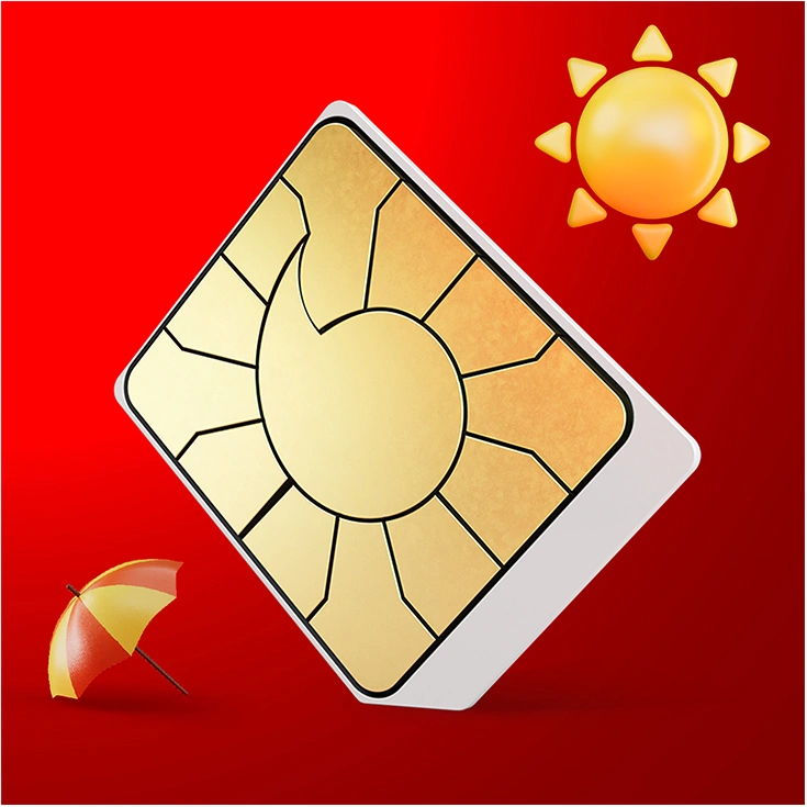 SIM card