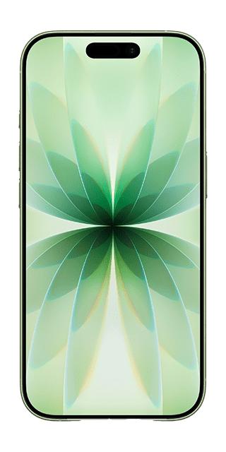 iPhone 17 Sage Front