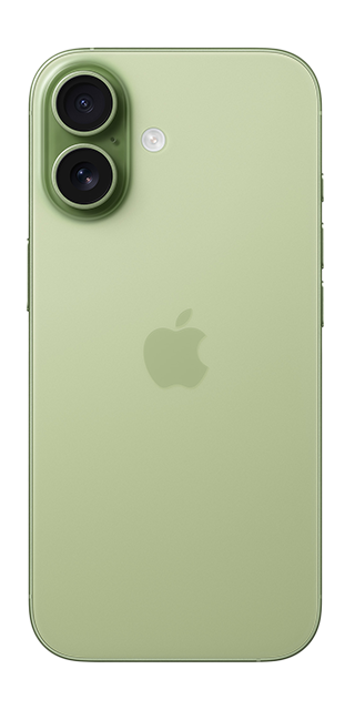 iPhone 17 Sage Back